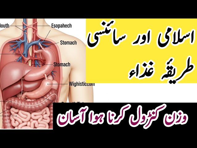 Video thumbnail for "Wazan Control ka Islami Raaz… Islami Tareeqa-e-Ghiza, Science bhi Hairan! "@Islamicinformation-sp