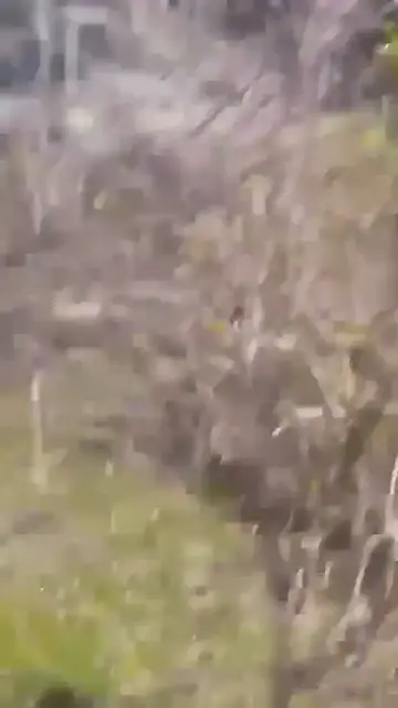 'Video thumbnail for Suspect found dead after shooting near Beam Hall at the University of Nevada in Las Vegas'