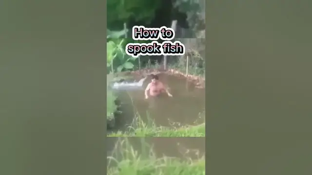 Video thumbnail for Catch of the Day: Fishing Memes #memes #fishing #fish #fishingmemes #catchoftheday