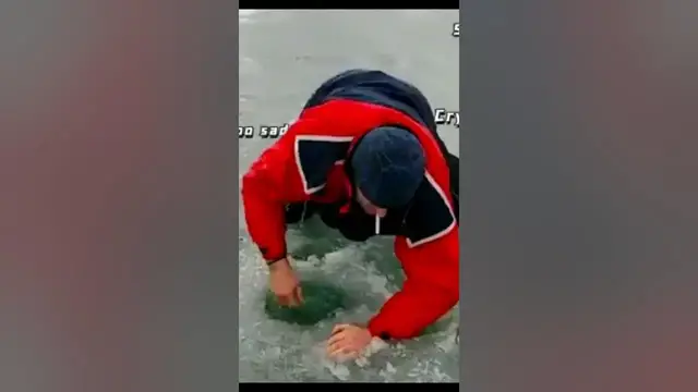 Video thumbnail for Catch of the Day: Fishing Memes#memes #fishing #fish #fishingmemes #catchoftheday