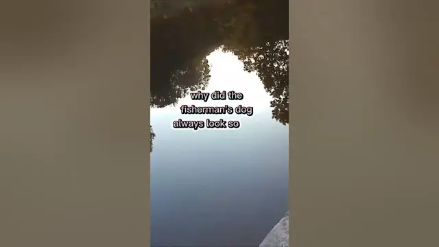 Video thumbnail for Fishing Joke 32 #jokes #fishingjokes #humor