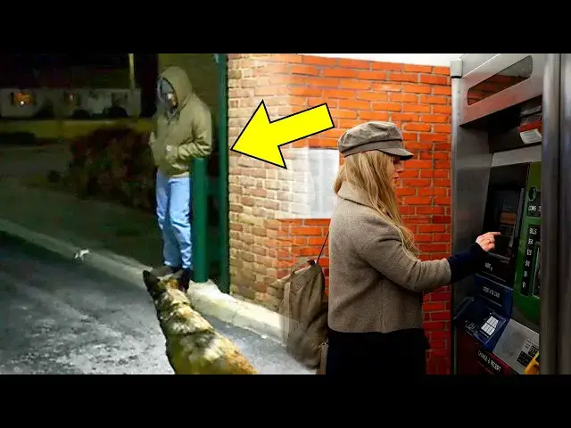 'Video thumbnail for Man Blocks Woman at ATM - What Her Dog Does Next Will Leave You Speechless!'