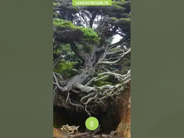 Video thumbnail for 10 photos qui prouvent que la nature a toujours le dernier mot