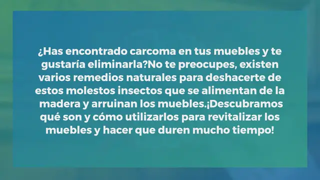 Video thumbnail for Carcoma en muebles, deshazte de ellas inmediatamente con este remedio natural
