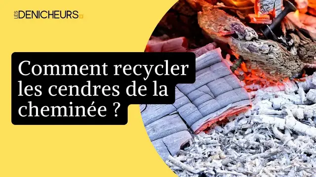 Video thumbnail for 💡 Idées et astuces pour recycler les cendres de la cheminée ♻️