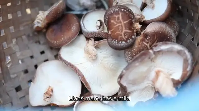 Video thumbnail for lions mane mushroom recipe