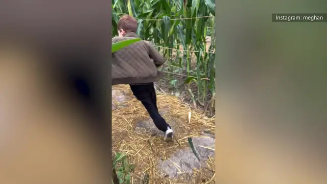 'Video thumbnail for Meghan Markle's Recent Posts Aren't Sitting Well With Prince Harry'