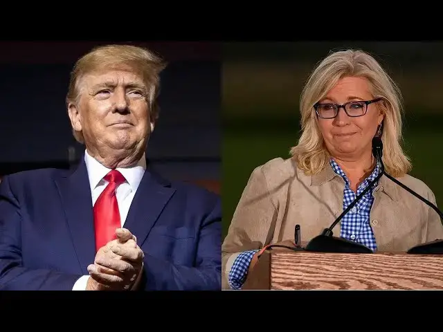 Video thumbnail for Liz Cheney Talks About Plan To Stop Trump - It Immediately Backfires