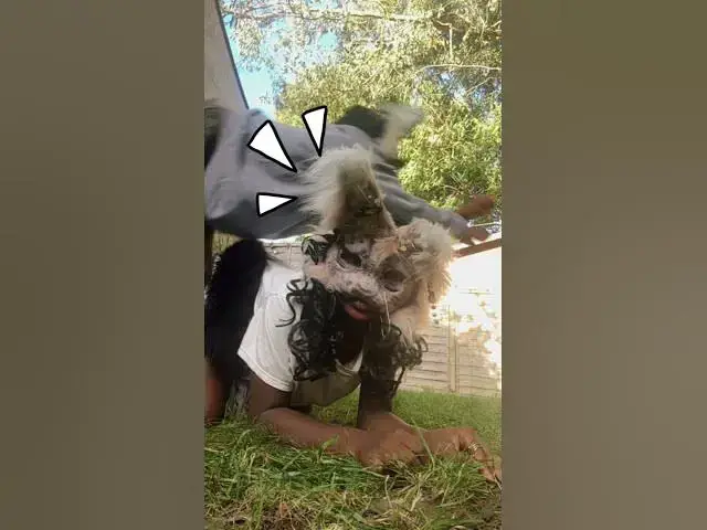 Video thumbnail for alter human # cats🐈🐈‍⬛#