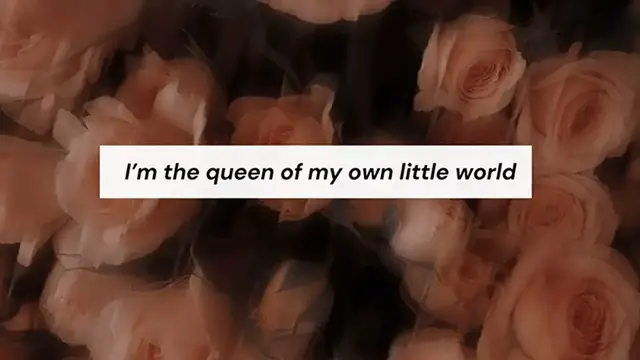 Video thumbnail for 20 Sassy Instagram Bios Caption Attitude, savage Instagram captions