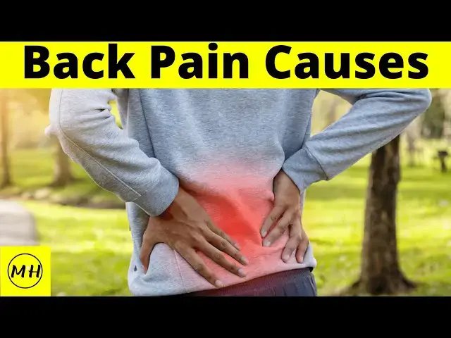 'Video thumbnail for 7 Reasons Why Your Back Is Hurting'