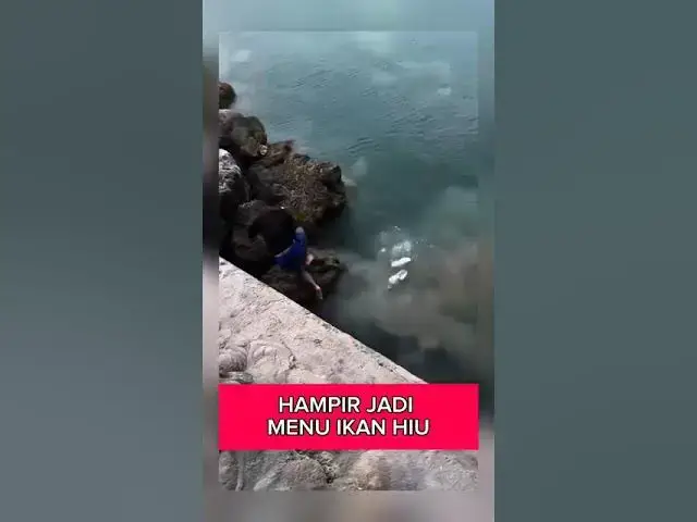 'Video thumbnail for hampir aja jadi santapan'