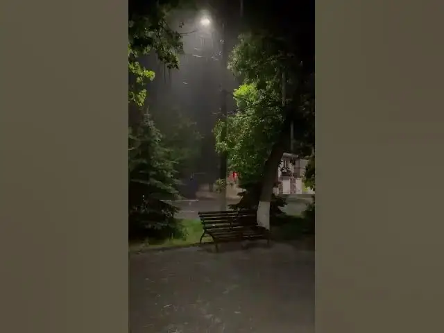 Video thumbnail for #explorepage #love #immigration #trending #nature