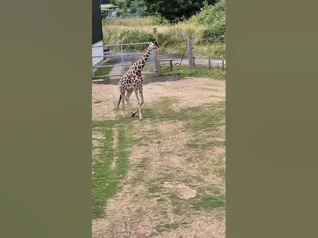 Video thumbnail for 25 November 2025