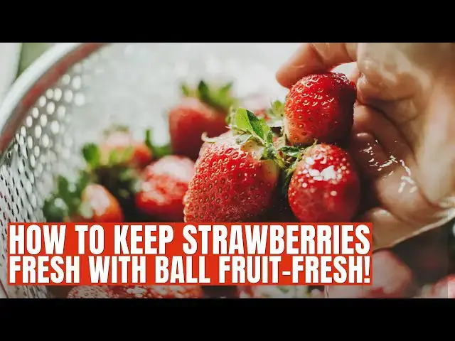 'Video thumbnail for How to Keep Strawberries Fresh for 5 Days | Easy Storage Hack with Ball Fruit-Fresh'