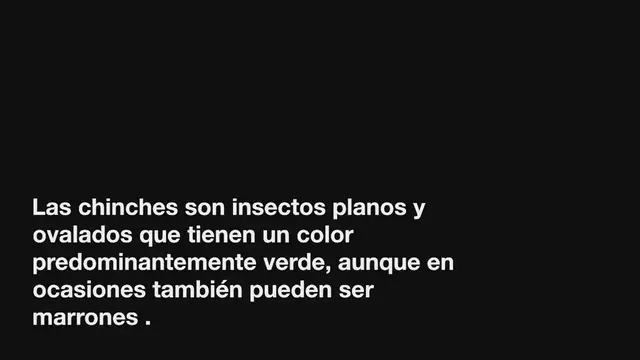 'Video thumbnail for Revisa el colchón, si tienes estas marcas en la piel tu cama está infestada de chinches'