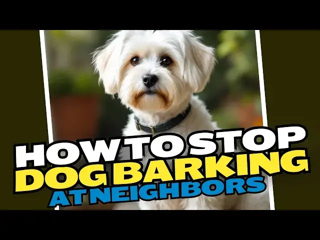 Video thumbnail for How To Stop Dog Barking At Neighbors