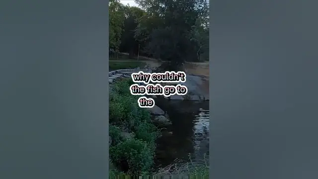 Video thumbnail for Fishing Joke 26 #jokes #fishingjokes #humor