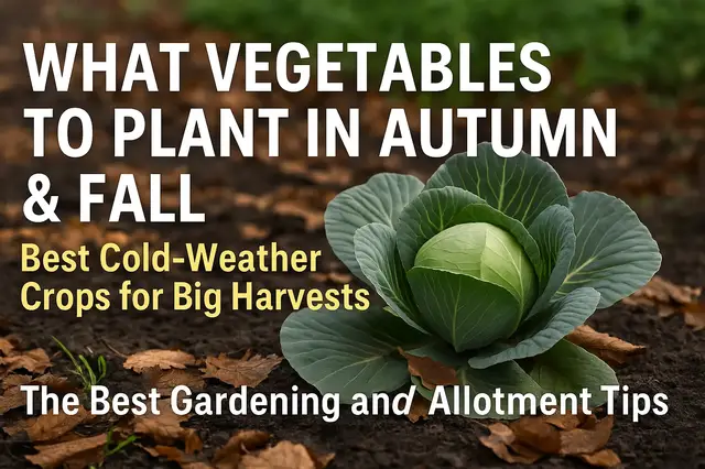 'Video thumbnail for 🎥 ✅ What Vegetables to Plant in Autumn & Fall 🍂🌱 | Best Cold-Weather Crops for Big Harvests 🌿✨'