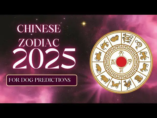 Video thumbnail for Chinese zodiac 2025 for dog predictions: Video