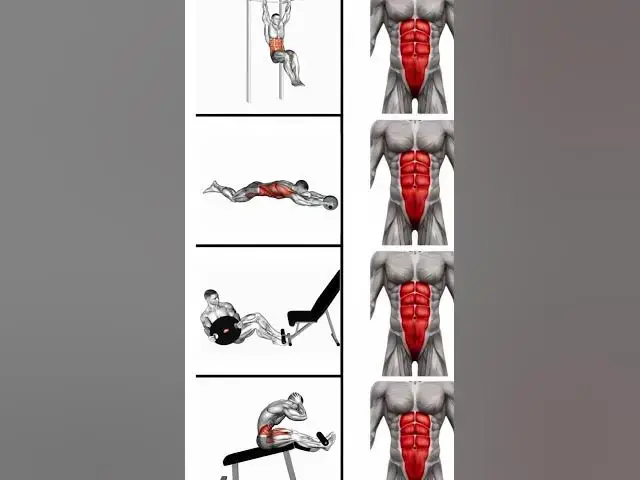 Video thumbnail for 4 Next-Level Abs Exercises That Actually WORK #sixpackabs #effectiveabs