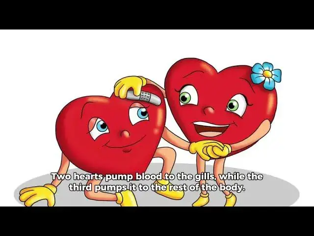 Video thumbnail for 10 Mind-Blowing Fun Facts That Will Amaze You in 2024! 🌍🤯