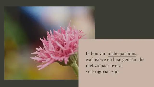 Video thumbnail for Pivoine Souveraine, jouw nieuwe favoriete zomergeur?