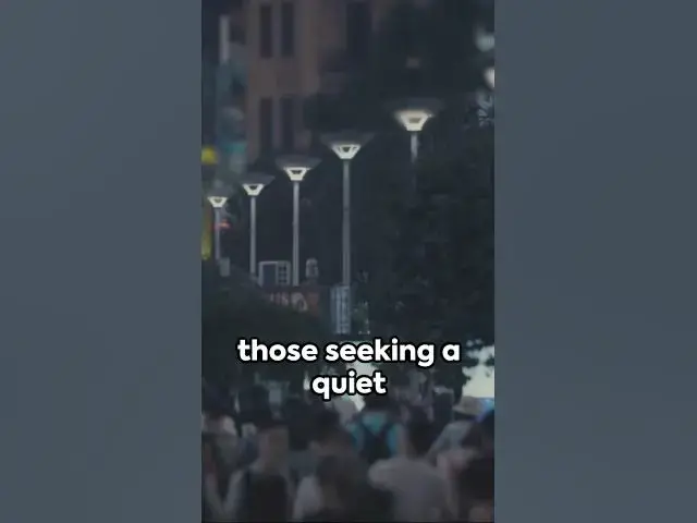Video thumbnail for Shanghai Nights: A Glimpse into the City's Nightlife