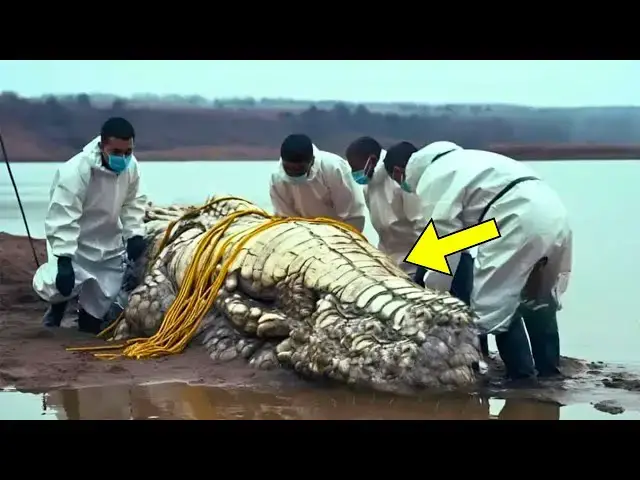 Video thumbnail for Scientists Find Unknown Animal In Dried Up River, Then They Realize What It Is