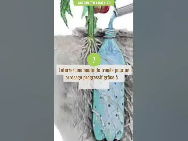 Video thumbnail for 10 astuces que tous jardiniers devraient connaitre