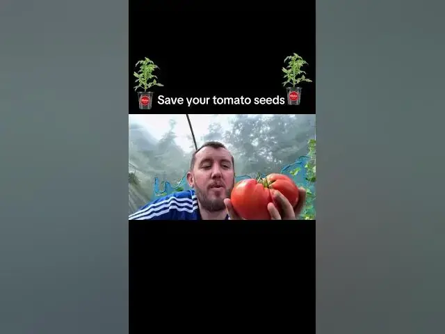 'Video thumbnail for 🍅🌱 How to Save Tomato Seeds | Free Seeds for Next Year’s Crop'