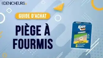 Video thumbnail for 👓 MEILLEUR PIÈGE À FOURMIS - Comparatif & Guide d'achat