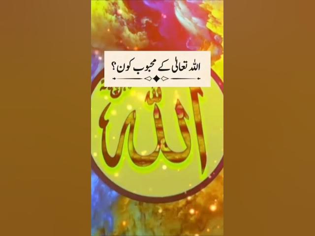 Video thumbnail for Allah ke Mehboob Bande Kon Hain?|Allah Kin Se Muhabbat Karta Hai❤️#Allah #AllahLoves#QuranShorts