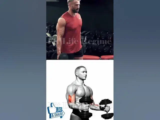 Video thumbnail for Bicep Workout That'll Make Your Arms Bigger