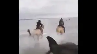 Video thumbnail for سباق الخيول على البحر مشهد مهيب رووووعه