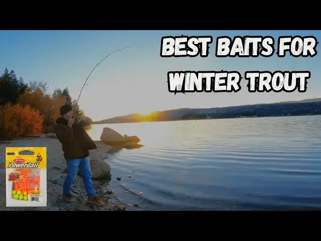 Video thumbnail for Best Baits for Winter Trout Fishing | Big Bear Lake