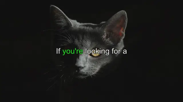 Video thumbnail for Exotic Arabic Cat Names: 10 Unique Options with Meanings