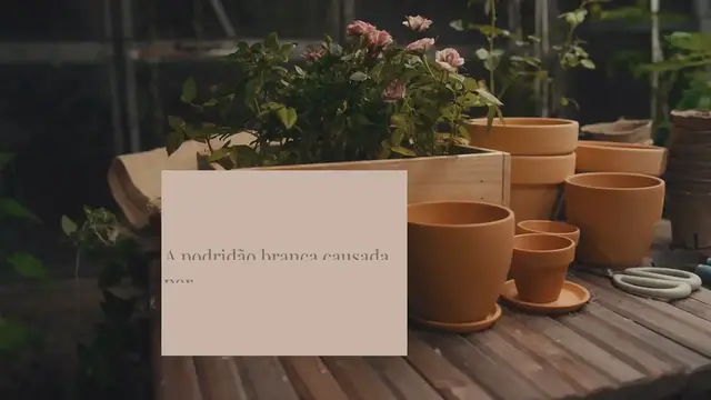 Video thumbnail for Proteção biológica contra a podridão branca da alface