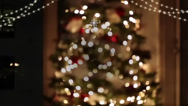 Video thumbnail for ¿Dónde colocar el árbol de navidad? video blog