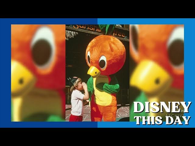 Video thumbnail for Orange Bird | DISNEY THIS DAY | March 3, 1971