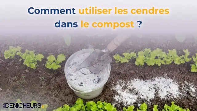 Video thumbnail for 🌿 Comment utiliser les cendres dans le compost ? 🌱🌾🔥