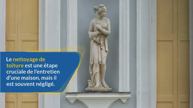 Video thumbnail for Tout ce que vous devez savoir sur le nettoyage de toiture