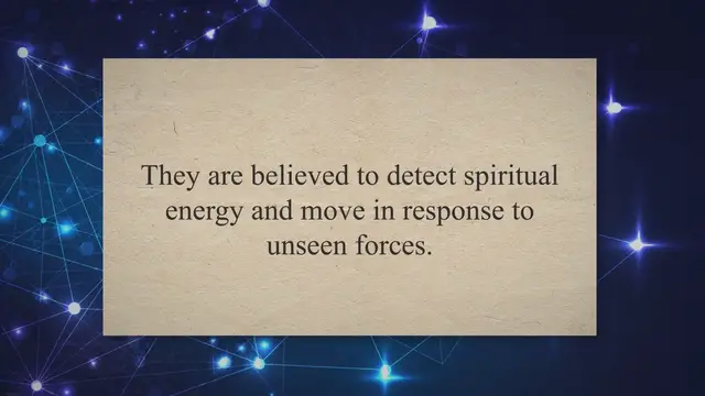 'Video thumbnail for Dowsing Rods for Spirit Communication'