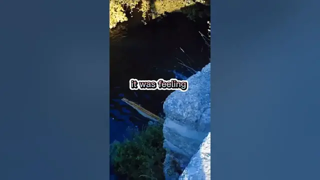 Video thumbnail for Fishing Joke 21 #jokes #fishingjokes #humor