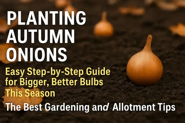 'Video thumbnail for Planting Autumn Onions 🧅🍂 | Easy Step-by-Step Guide for Bigger, Better Bulbs This Season 🌱✨'