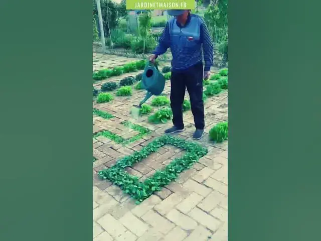 Video thumbnail for Cet homme est juste un magicien