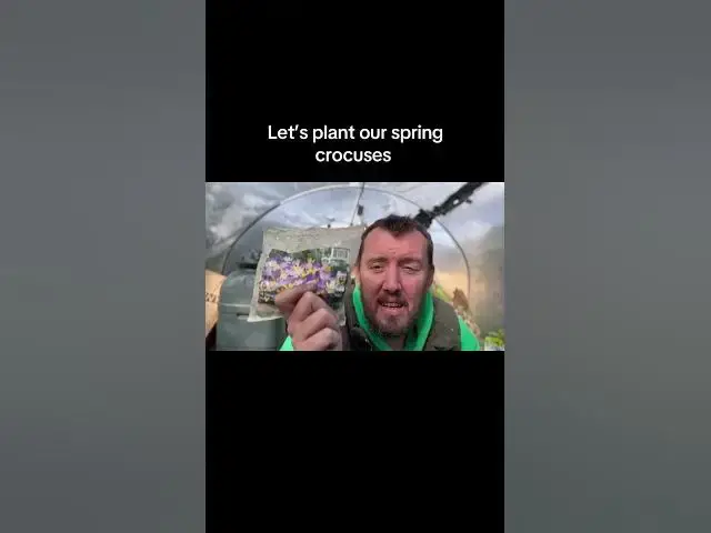 'Video thumbnail for ✅ Let’s Plant Our Spring Crocuses 🌸🌱 | Easy Autumn Guide for a Colourful Garden Display 🌿✨'