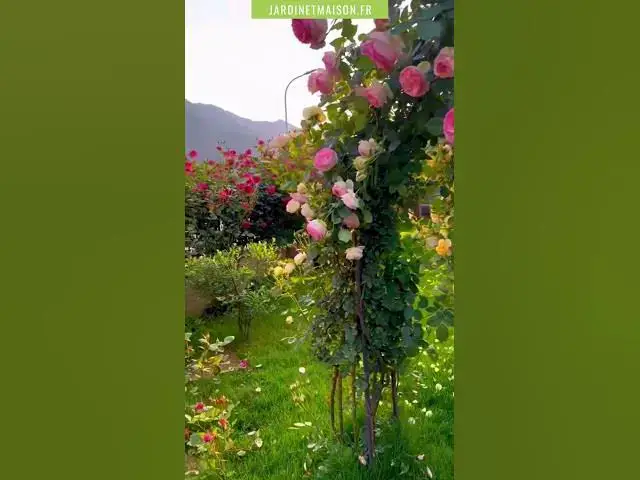 Video thumbnail for Bienvenue au paradis