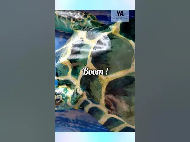 Video thumbnail for I turned my trash into this 🐢 #craftlife #satisfying #transformation