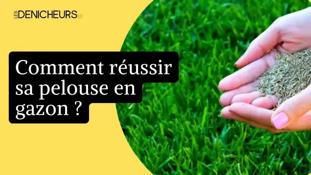 Video thumbnail for 🏡  Réussir sa pelouse : quand faut-il arroser le gazon après l'avoir semé ? 👨‍🌾
